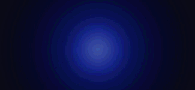 Shelly_650x300_news story_01_1.gif