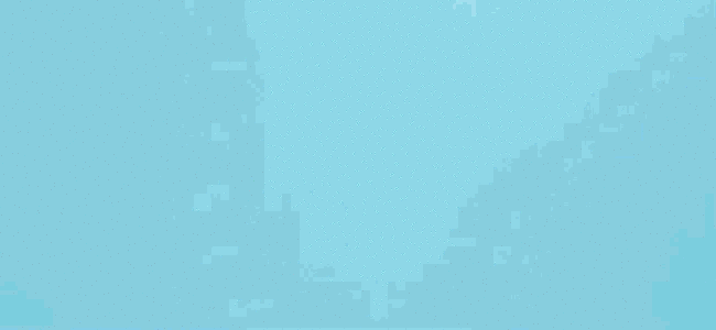 Todd_EOY_650x300_news story_01.gif