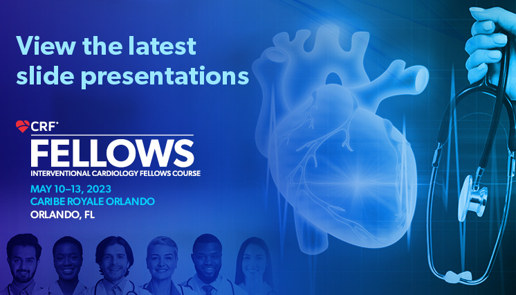Fellows 2023