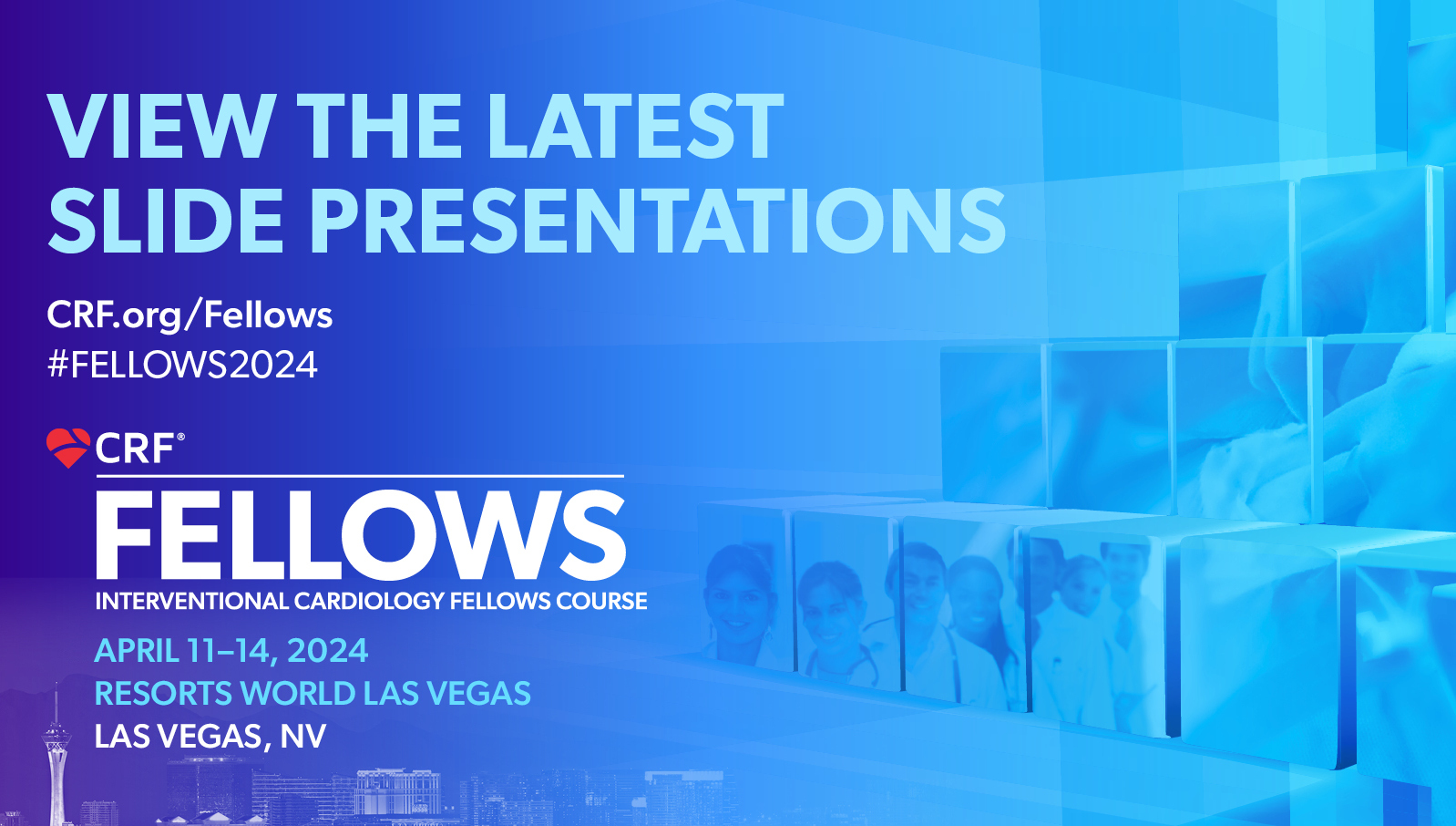 Fellows 2024