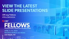 Fellows 2024