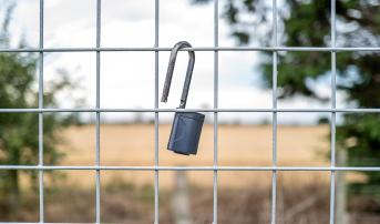 Solid 2-Year Data With ‘Unlocking’ Coronary Stent: BIOADAPTOR RCT